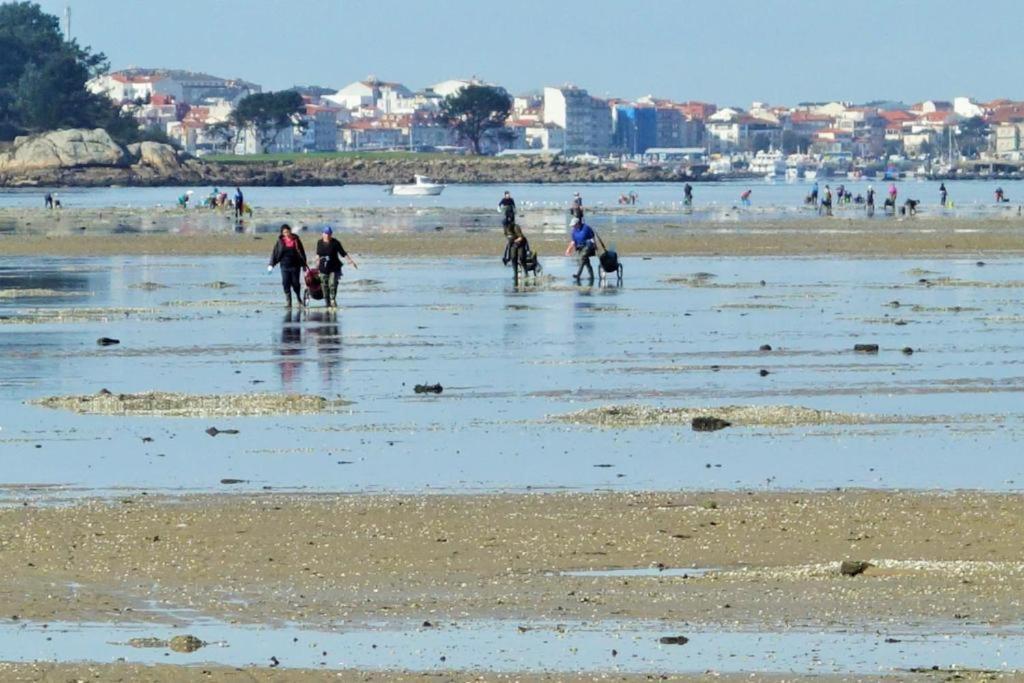 As Rosas Apartamentos Turisticos Cambados Εξωτερικό φωτογραφία